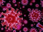 virus_disease_coronavirus